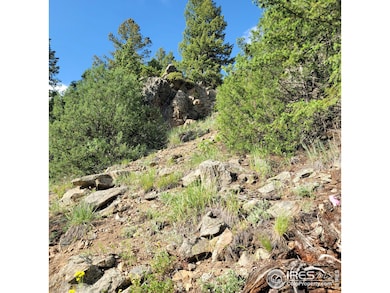 0 Gold Trail, Gold Hill, CO 80302 - photo 6