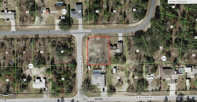 10298 N Spaulding Dr, Citrus Springs, FL 34433 - photo 2