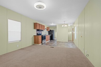 214 Kalinga Dr, Weatherford, TX 76085 - photo 4