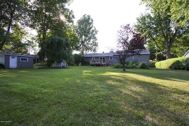 Backyard2