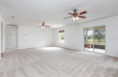 221 Star Shell Dr, Apollo Beach, FL 33572 - photo 4