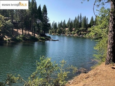 Water view featuring a forest