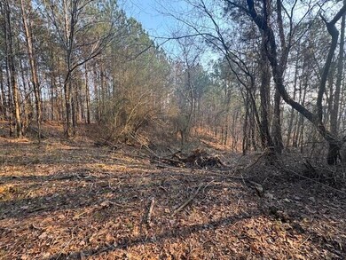 0 Stella Lockard Rd, Cordova, AL 35550 - photo 2