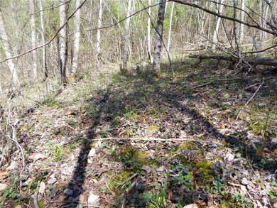 00 Blueberry Dr unit A, Cane River, NC 28714 - photo 7