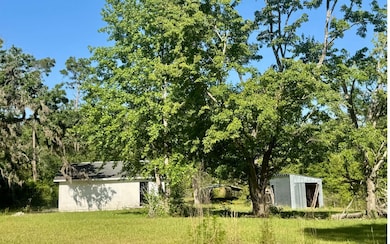 TBD County Road 132, Live Oak, FL 32060 - photo 6