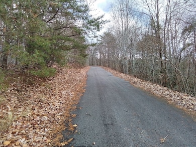 1500 Bear Mountain Rd, Murphy, NC 28906 - photo 3