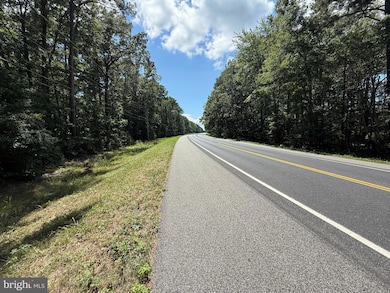 18832 Piney Point Rd, Valley Lee, MD 20692 - photo 7