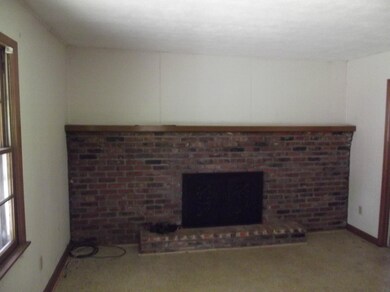 lusterfireplace