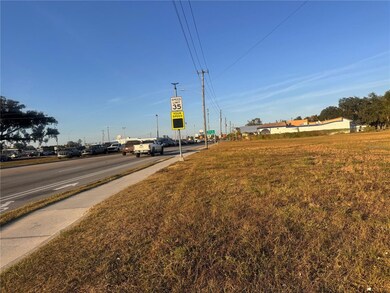 245 S Brevard Ave, Arcadia, FL 34266 - photo 7