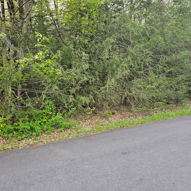 211 Alter Ave, Pocono Summit, PA 18346 - photo 7