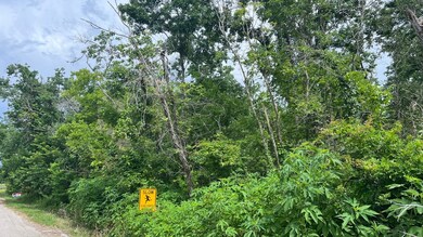 0 County Road 429, Brazoria, TX 77422 - photo 7