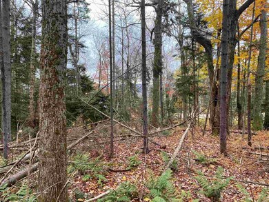 419 Shincracker unit 419 & 420, Wilmington, VT 05363 - photo 3