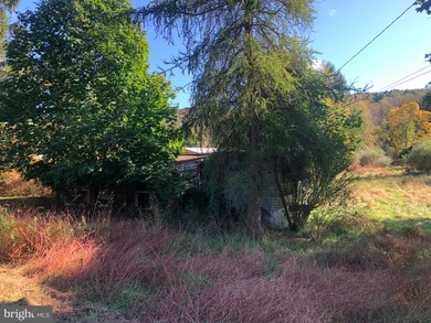 48 Mush Dahl Rd, New Ringgold, PA 17960 - photo 3