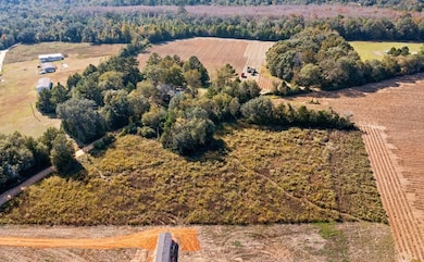 3141 Leamon Smith Rd, Bonifay, FL 32425 - photo 6