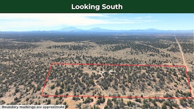 5823 N Cattle Guard Rd, Williams, AZ 86046 - photo 5