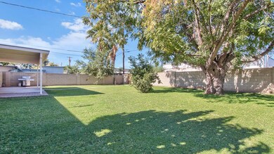 Huge grassy backyard