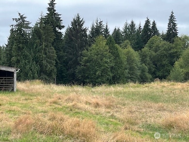 12400 212th St NE, Arlington, WA 98223 - photo 2