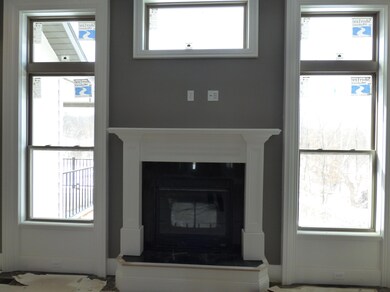 gas fireplace in LR