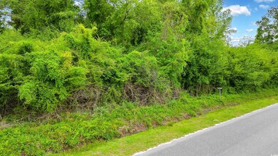 TBD Watts Rd, Loris, SC 29569 - photo 3