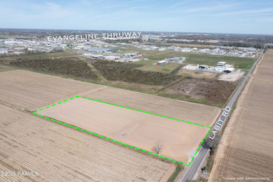 2111 Labit Rd, Broussard, LA 70518 - photo 2