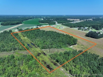 TBD Alamac Rd, Lumberton, NC 28358 - photo 3