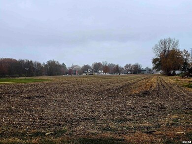 1600 E Walnut St, Canton, IL 61520 - photo 2