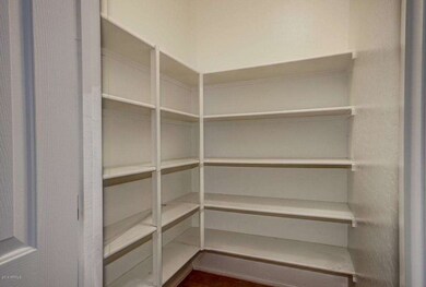 Massive Walk-In Pantry
