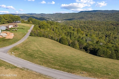 164 Feldspar Rd, New Tazewell, TN 37825 - photo 4