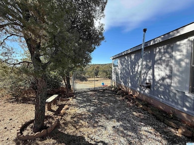 47 Pinon Ln, Silver City, NM 88061 - photo 6