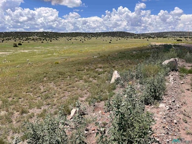 Lot 145 Quail Rd, Quemado, NM 87829 - photo 6