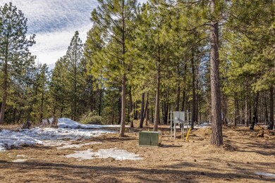 25815 N Perry Cir, Chattaroy, WA 99003 - photo 7