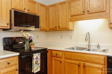 1004 Deermouse Way, Hendersonville, NC 28792 - photo 4