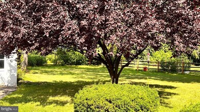 1027 York Ave, Lansdale, PA 19446 - photo 5