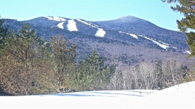5 Golden Heights Rd unit 36.2, Waterville Valley, NH 03215 - photo 4