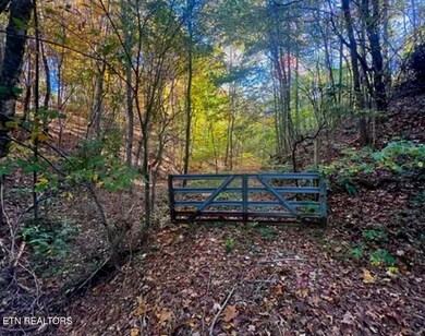 0 Manning Hollow Rd unit 1311320, Sevierville, TN 37876 - photo 4