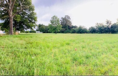 6006 Arkansas 135, Paragould, AR 72450 - photo 2