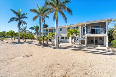 Maintenance free front yard with mature palm trees