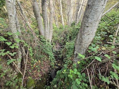 00 & 000 Wolverine Way, Whitethorn, CA 95589 - photo 6