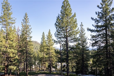 1074 War Bonnet Way unit 1, Incline Village, NV 89451 - photo 7