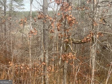 0 Sunshine Dr unit 10654666, Sparta, GA 31087 - photo 5