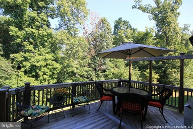 7 Donovan Ct, Knoxville, MD 21758 - photo 3