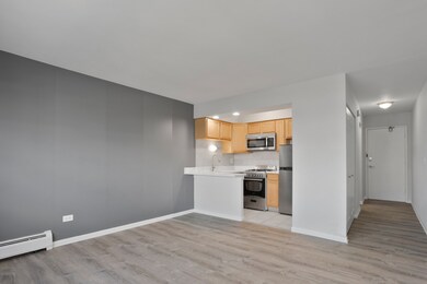 6758 N Sheridan Rd unit 342, Chicago, IL 60626 - photo 4
