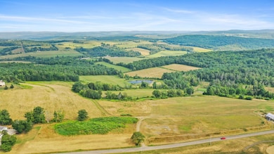 LOT 5 Waits Rd, Owego, NY 13827 - photo 6