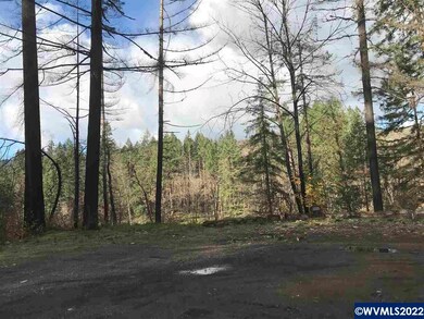 23655 Santiam Way SE, Lyons, OR 97358 - photo 5