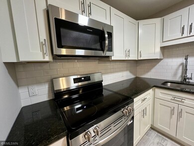 5645 Green Circle Dr unit 204, Minnetonka, MN 55343 - photo 4