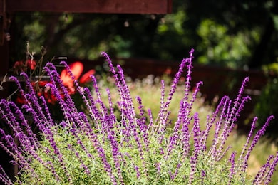 1003 Laurel Glen Rd, Soquel, CA 95073 - photo 7