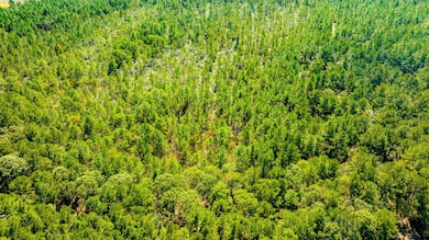 0 Bay Branch Church Rd unit 25551331, Claxton, GA 30417 - photo 3