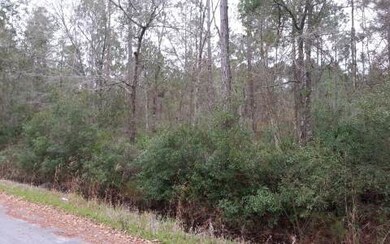 TBD Jamie Glen, Lake City, FL 32055 - photo 3