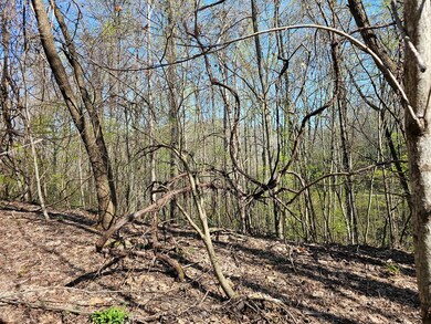 29A Timber Estates Rd, Charleston, NC 28713 - photo 3