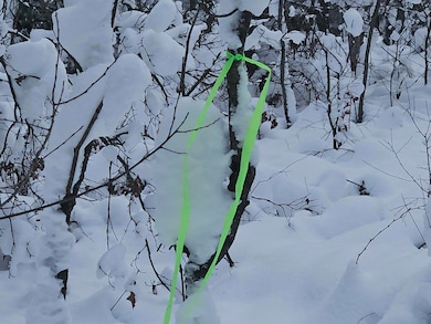 7106 Michigan 37, Irons, MI 49644 - photo 3